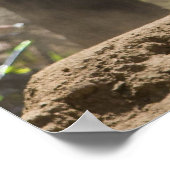 boksen op bergafwaarts poster (Hoek)