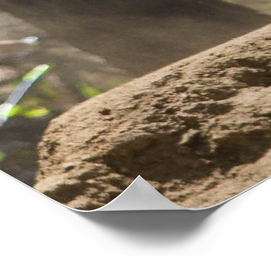 boksen op bergafwaarts poster (Hoek)