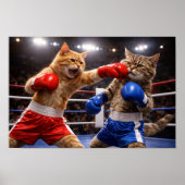 Boksende Katten Poster (Voorkant)