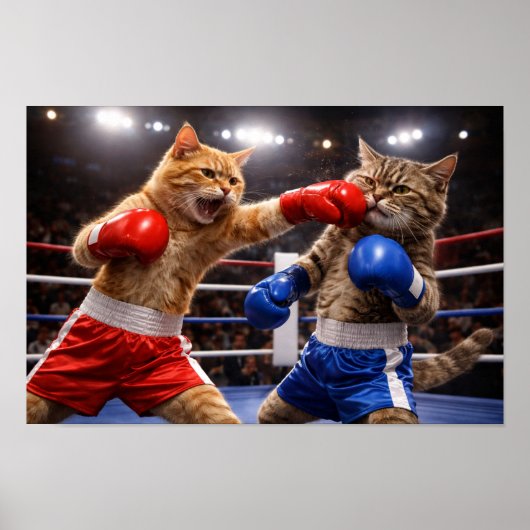 Boksende Katten Poster (Voorkant)