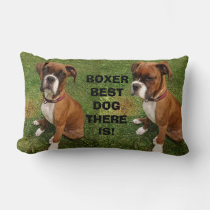 BOKSER BLIJFT BESTE HOND  kussen