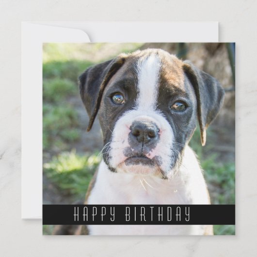 Bokser Happy Birthday Wishes Hond Verjaardag Kaart (Voorkant)