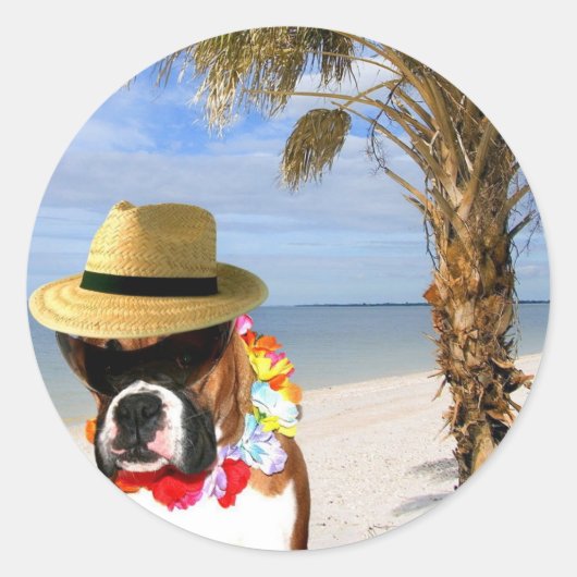 Bokser hond op het strand stickers (Voorkant)