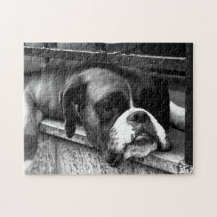 Bokser hond op vensterbank jp arc1 legpuzzel