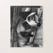 Bokser hond op vensterbank jp arc1 legpuzzel (Verticaal)