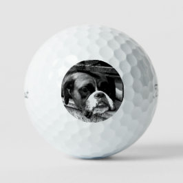 Bokser Hond op vensterbank TPV1 GBCNM Golfballen