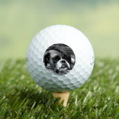 Bokser Hond op vensterbank TPV1 GBCNM Golfballen (Insitu Shirt)