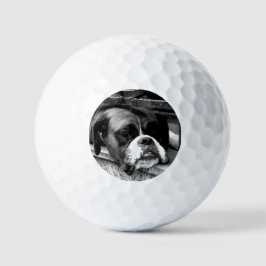 Bokser Hond Op Windowsill Va GBCNA Golfballen