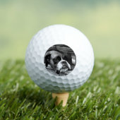Bokser Hond Op Windowsill van GBCNM Golfballen (Insitu Shirt)
