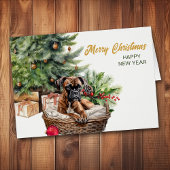 Bokser Hond Rieten Mand Kerstboom