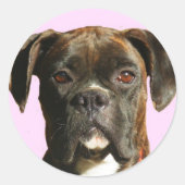 Bokser hond stickers (Voorkant)