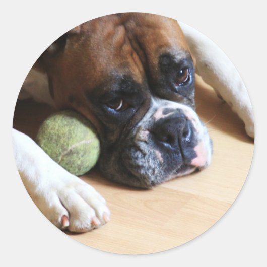 Bokser hond Stickers (Voorkant)