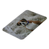 Bokser Hond Zittend in de Vorst Magneet (Linkerzijde)