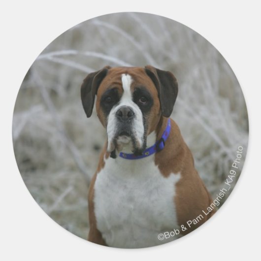 Bokser Hond Zittend in de Vorst Ronde Sticker (Voorkant)