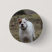 Bokser ronde button 3,2 cm (Voorkant)