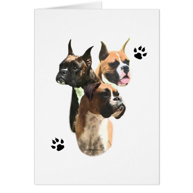 Bokser Trio (Voorkant)