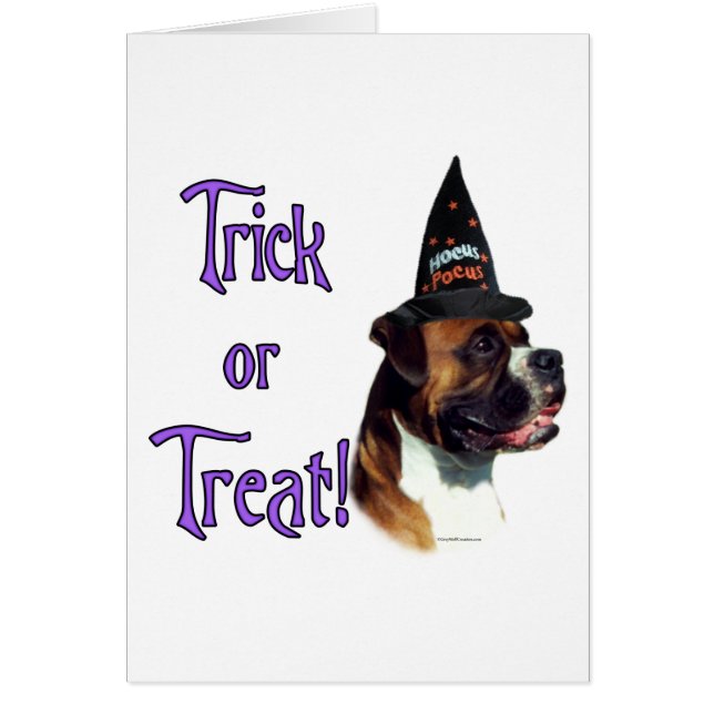 bokser truc (Voorkant)