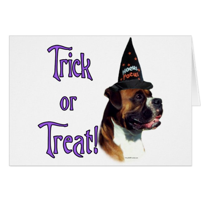 bokser truc (Voorkant Horizontaal)