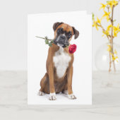 Bokser Valentine – Trouw Hart, Speelse Ziel Kaart (Gele Bloem)