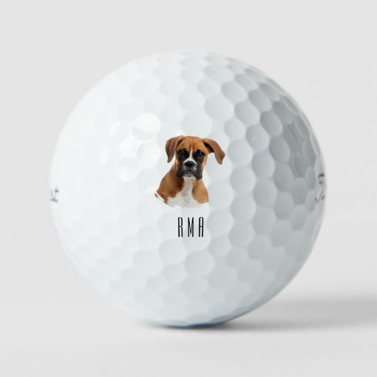 Bokserhond Golfballen (Voorkant)