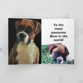 BOKSERHOND  KAART (Binnen)
