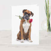 Bokserhond Valentine Kaart (Voorkant)