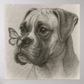 Boksershond met vlinderzachte ontmoeting poster (Voorkant)