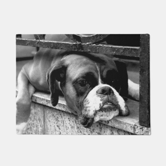 Boksershond op vensterbank dmm deurmat (Voorkant)