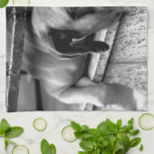 Boksershond op vensterbank ktm theedoek (Gevouwen)