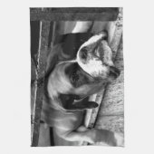 Boksershond op vensterbank ktm theedoek (Verticaal)