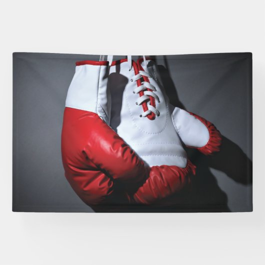 Bokshandschoenen spandoek (Horizontaal)