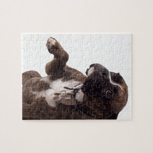 bokshond legpuzzel (Horizontaal)