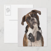 bokshond met hoofdtelefoon briefkaart (Voorkant / Achterkant)