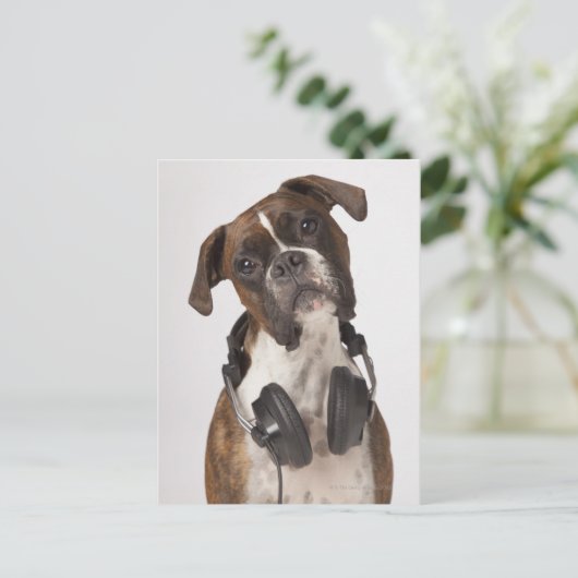 bokshond met hoofdtelefoon briefkaart (Staand voorkant)