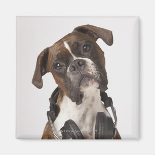 bokshond met hoofdtelefoon magneet