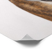 bokshond met hoofdtelefoon poster (Hoek)