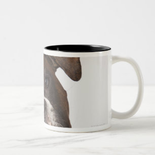bokshond met hoofdtelefoon tweekleurige koffiemok