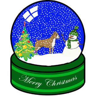 boksneeuw wereldbol fotobeeldje ornament