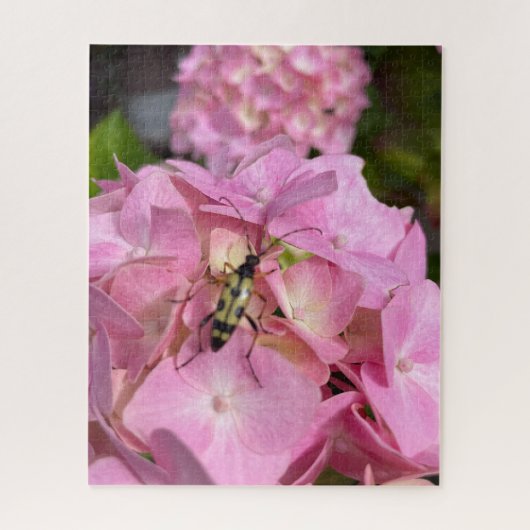 Boktor op roze Hortensia Legpuzzel (Verticaal)