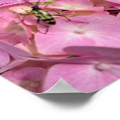 Boktor op roze Hydrangea Poster (Hoek)