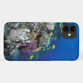Bokvis zwermen rond kleine koraal Case-Mate iPhone case (Achterkant (horizontaal))