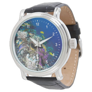 Bokvis zwermen rond kleine koraal horloge