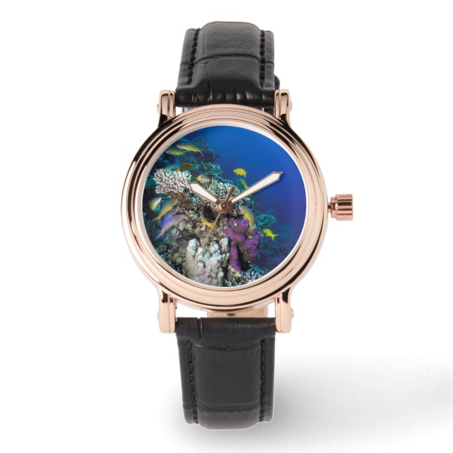 Bokvis zwermen rond kleine koraal horloge (Voorkant)