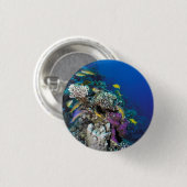 Bokvis zwermen rond kleine koraal ronde button 3,2 cm (Voorkant /achterkant)