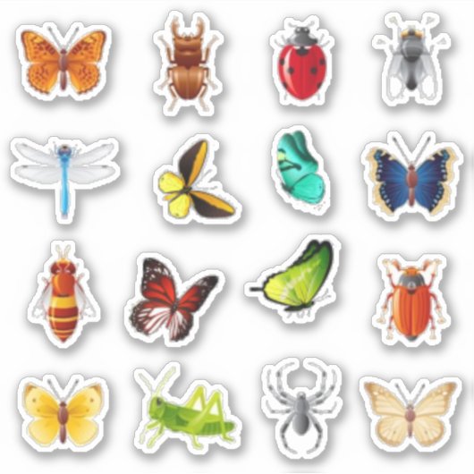 Bol- en vlinderschroot sticker (Voorkant)