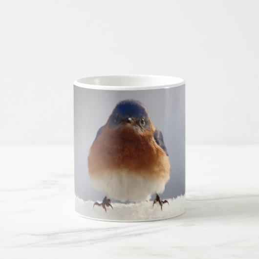 Bold Blue Bird Mok (Center)