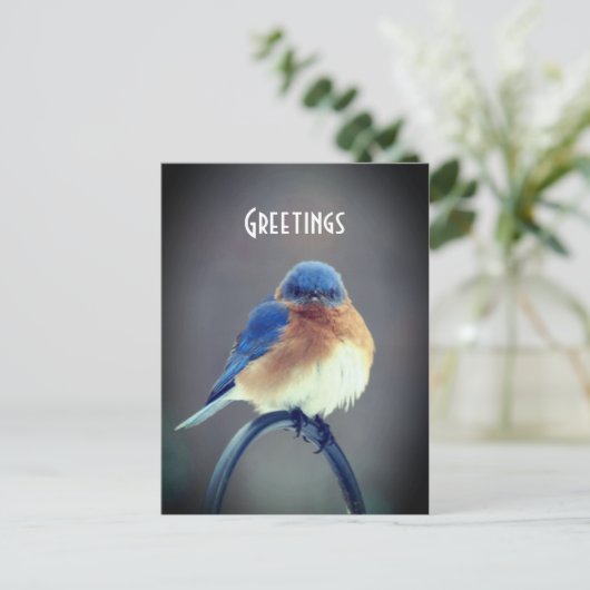 Bold Bluebird Briefkaart (Staand voorkant)