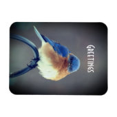 Bold Bluebird Magneet (Horizontaal)