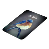 Bold Bluebird Magneet (Linkerzijde)