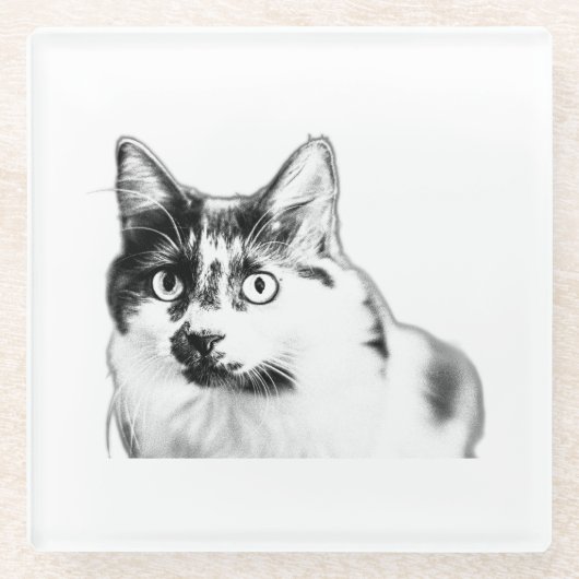 Bold Curious Cat Ink Onderzetter (Voorkant)
